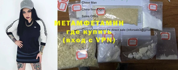 прущие грибы Заволжье
