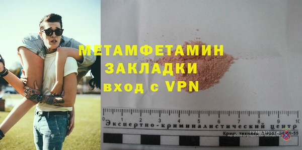 прущие грибы Заволжье