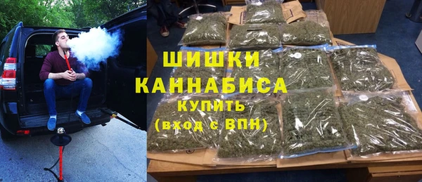 прущие грибы Заволжье