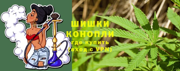 прущие грибы Заволжье