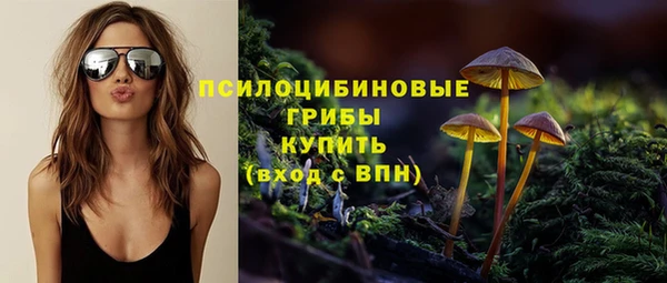 прущие грибы Заволжье