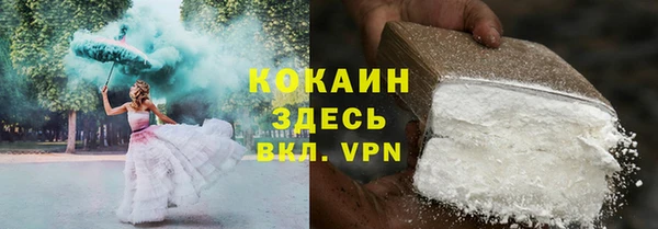 прущие грибы Заволжье